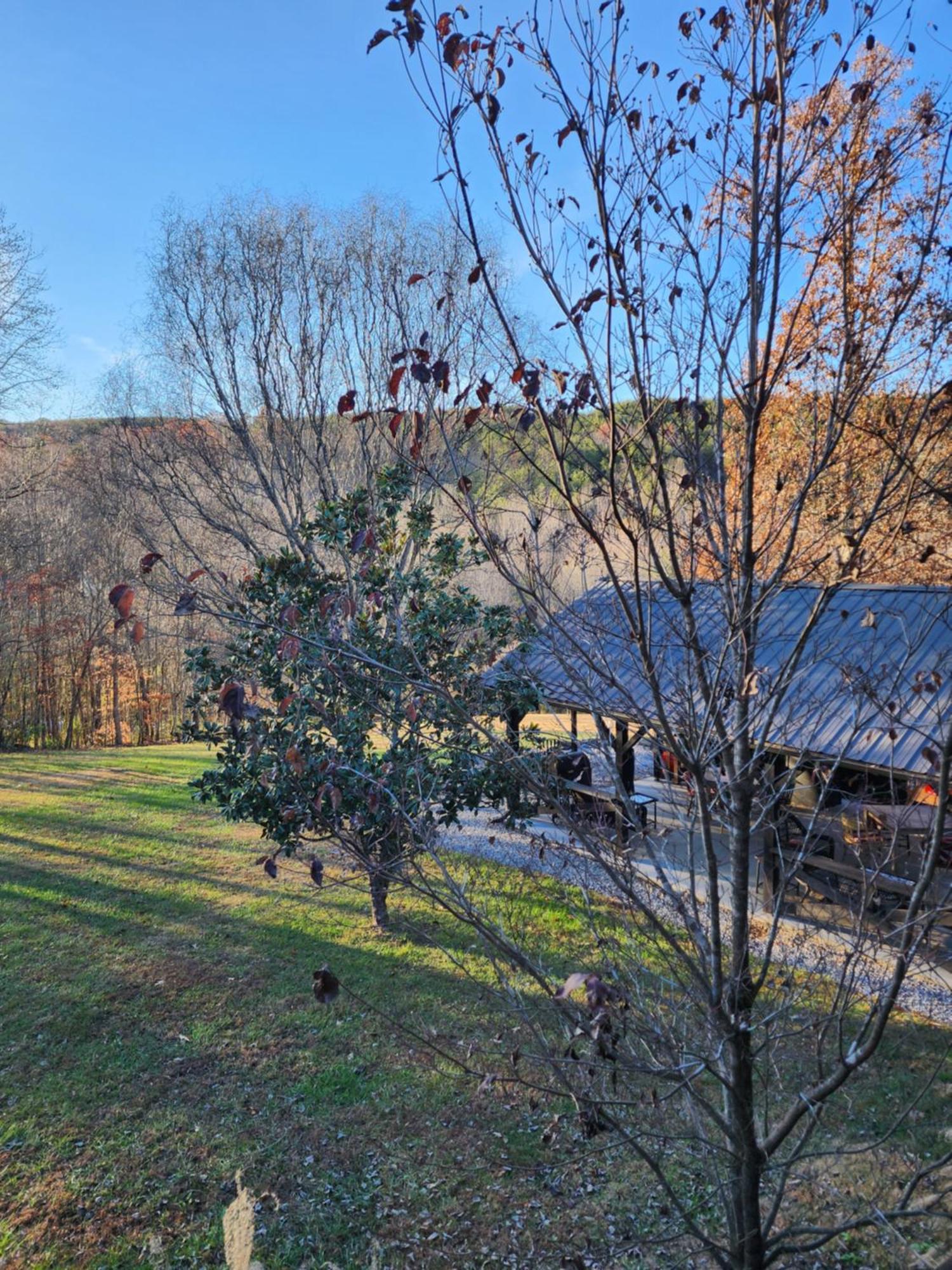 Lodge At Tellico Tellico Plains Dış mekan fotoğraf